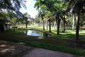 Botanische tuin in Havana