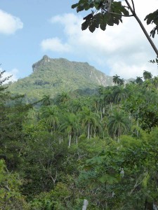 Landschap bij Baracoa in Cuba