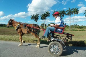 Bij een rondreis door Cuba zie je veel leuke dingen langs de weg