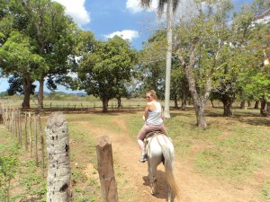 Activiteiten. Paardrijden in Cuba